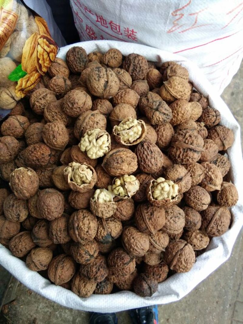 薄皮核桃云南大理漾濞薄皮核桃，口感好，仁子饱满