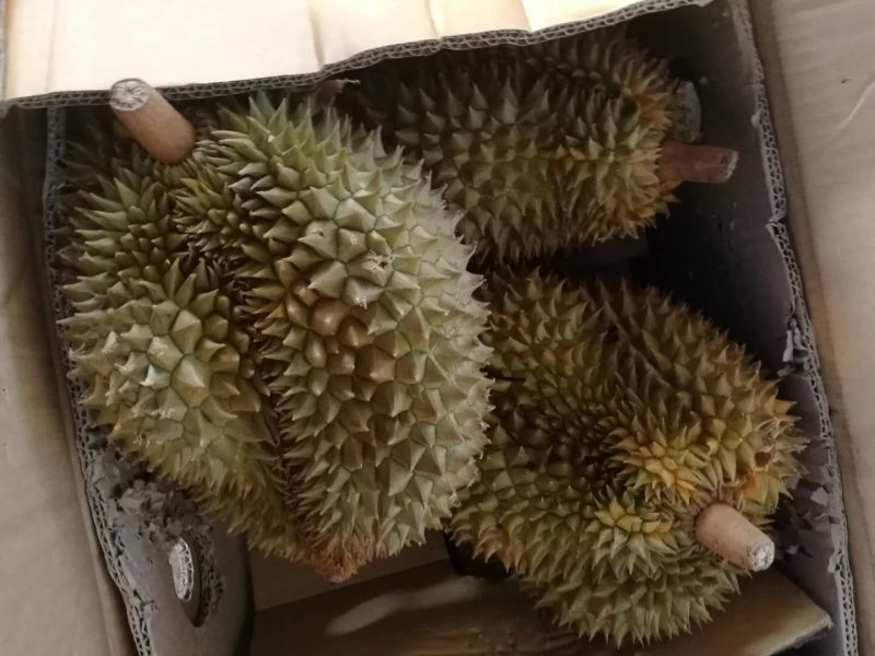 金枕头榴莲3~5斤
