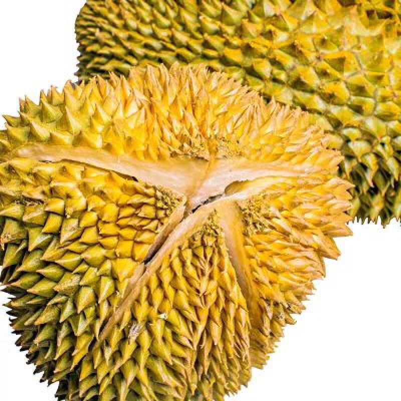 金枕头榴莲3~5斤