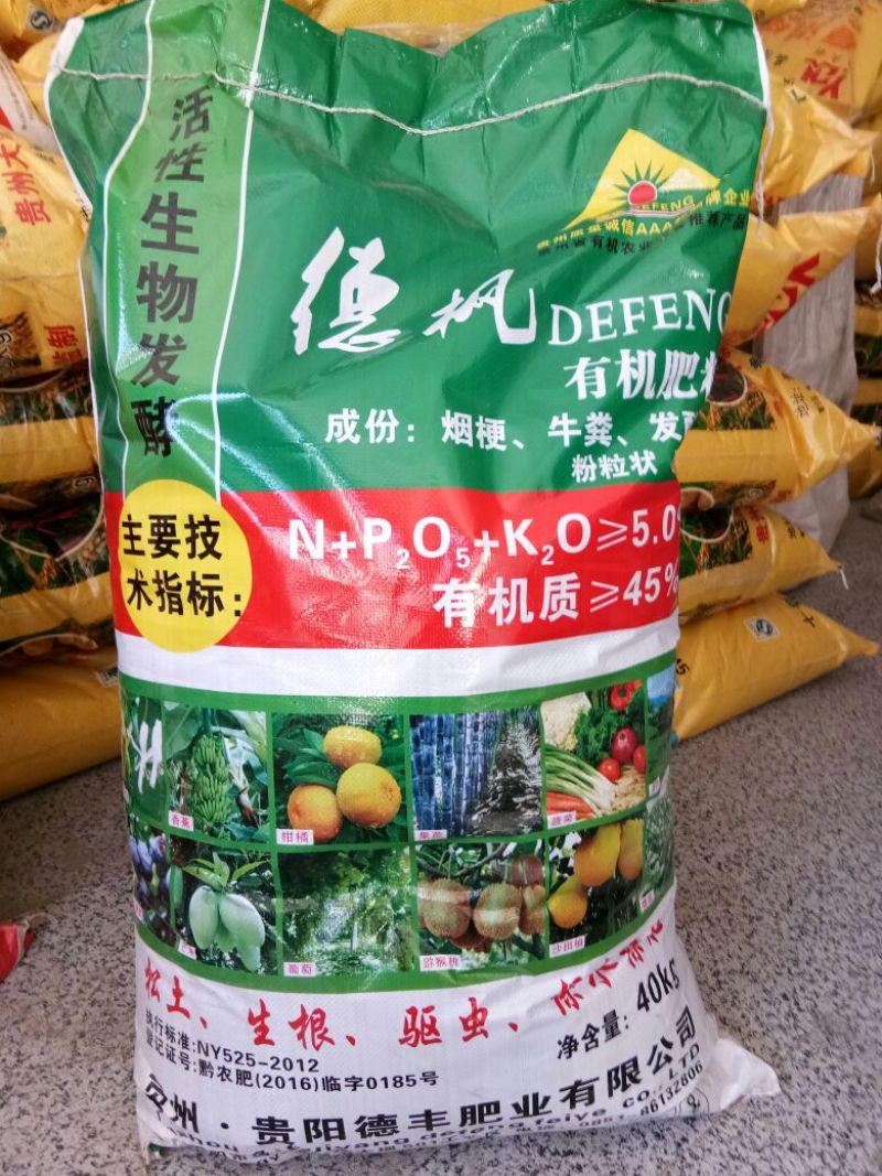 生物菌发酵大豆