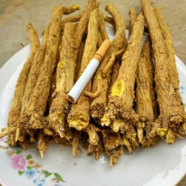 黄芩家种统个