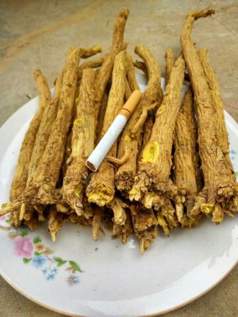 黄芩家种统个
