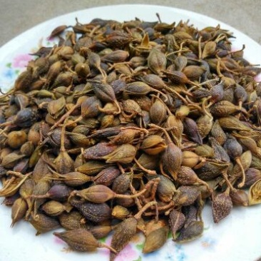 青翘青翘水煮统