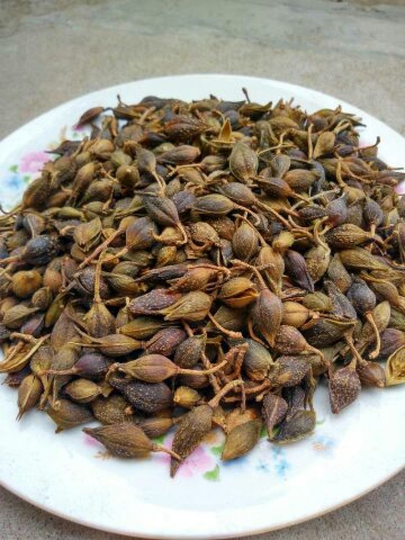 青翘青翘水煮统