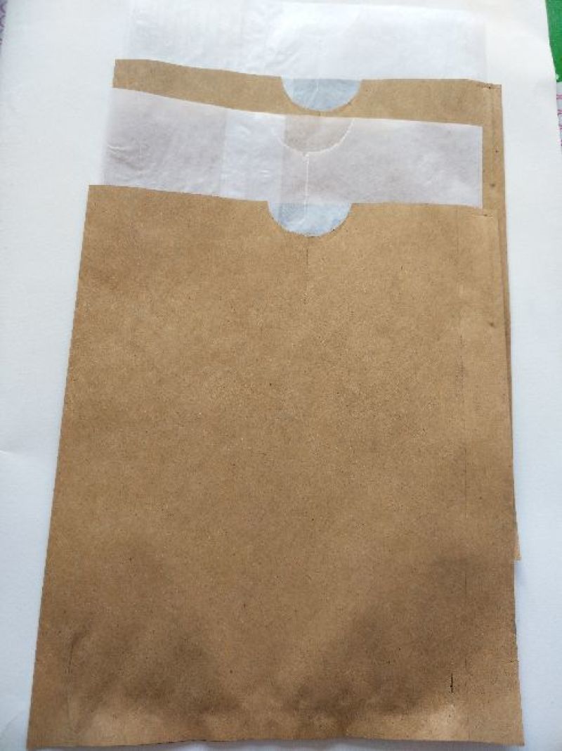 苹果袋中号18*20