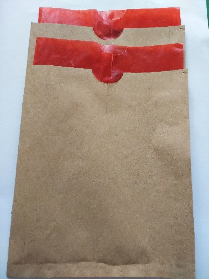 苹果袋中号18*20