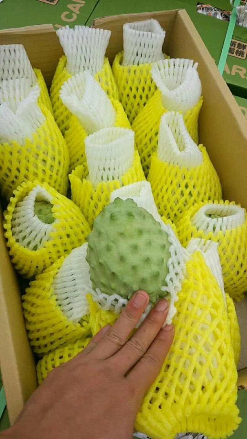 台湾释迦一级550~650g