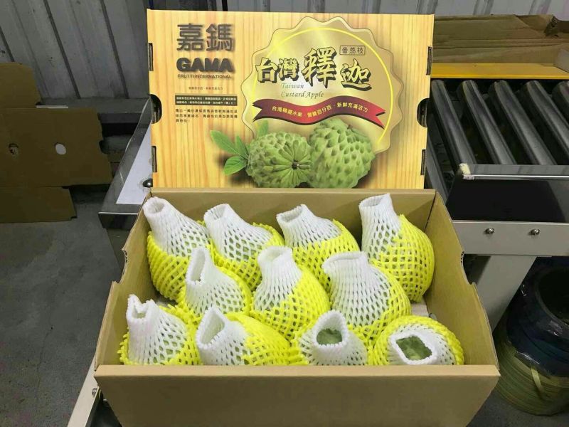 台湾释迦一级550~650g