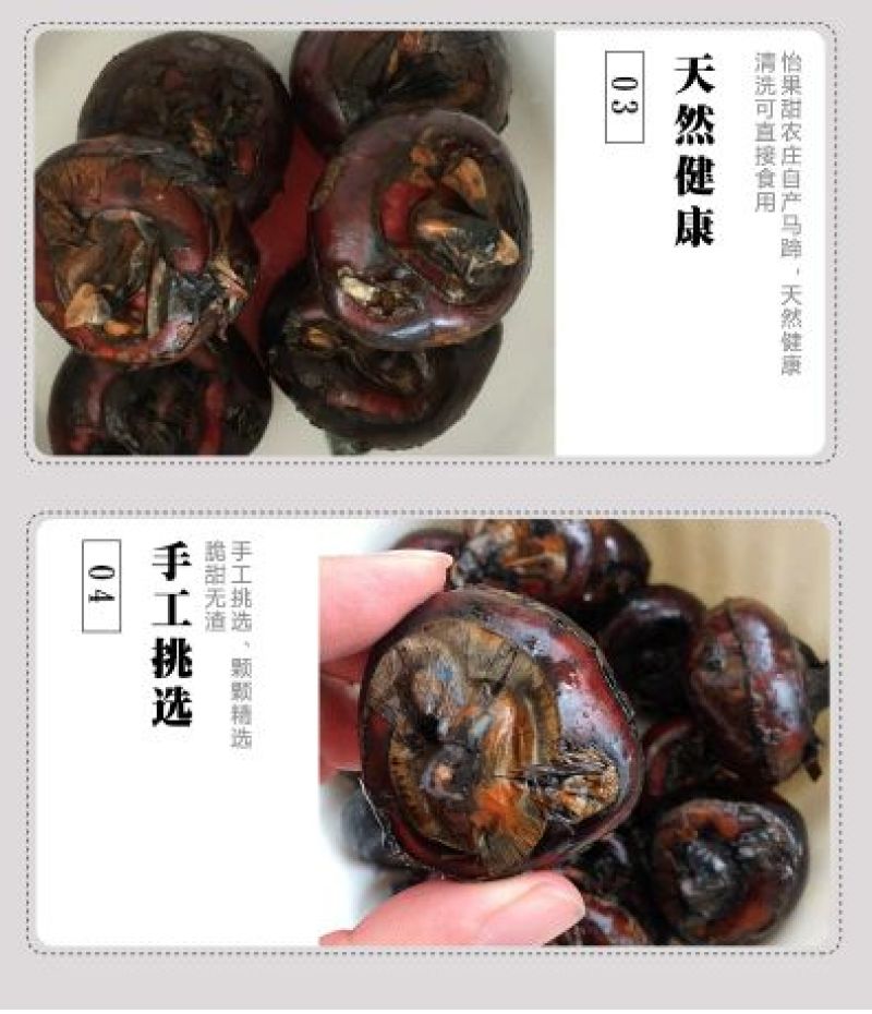 珍珠马蹄大号