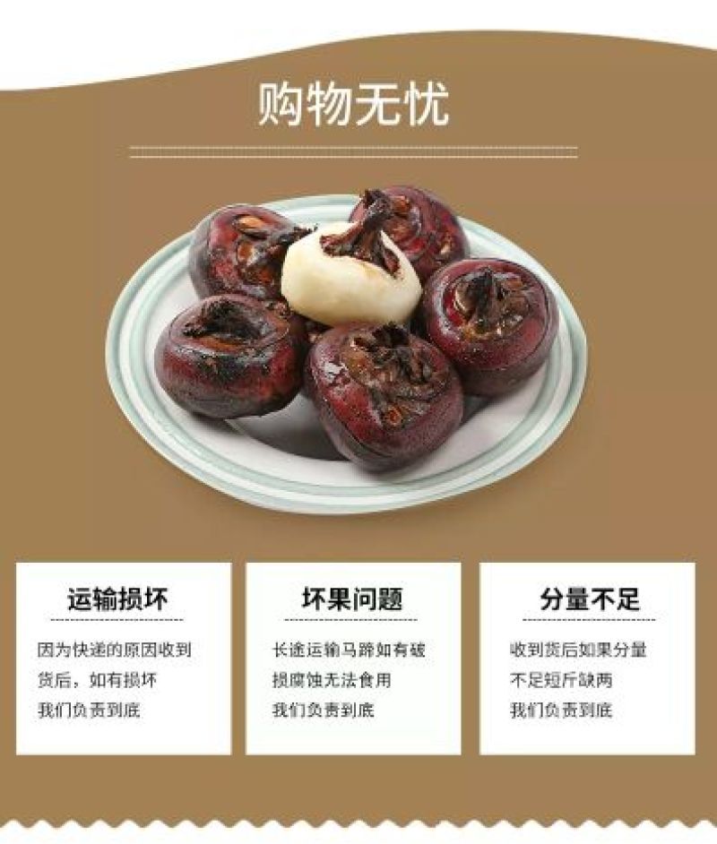 珍珠马蹄大号