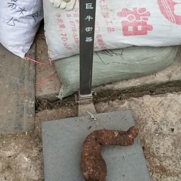 隔山消