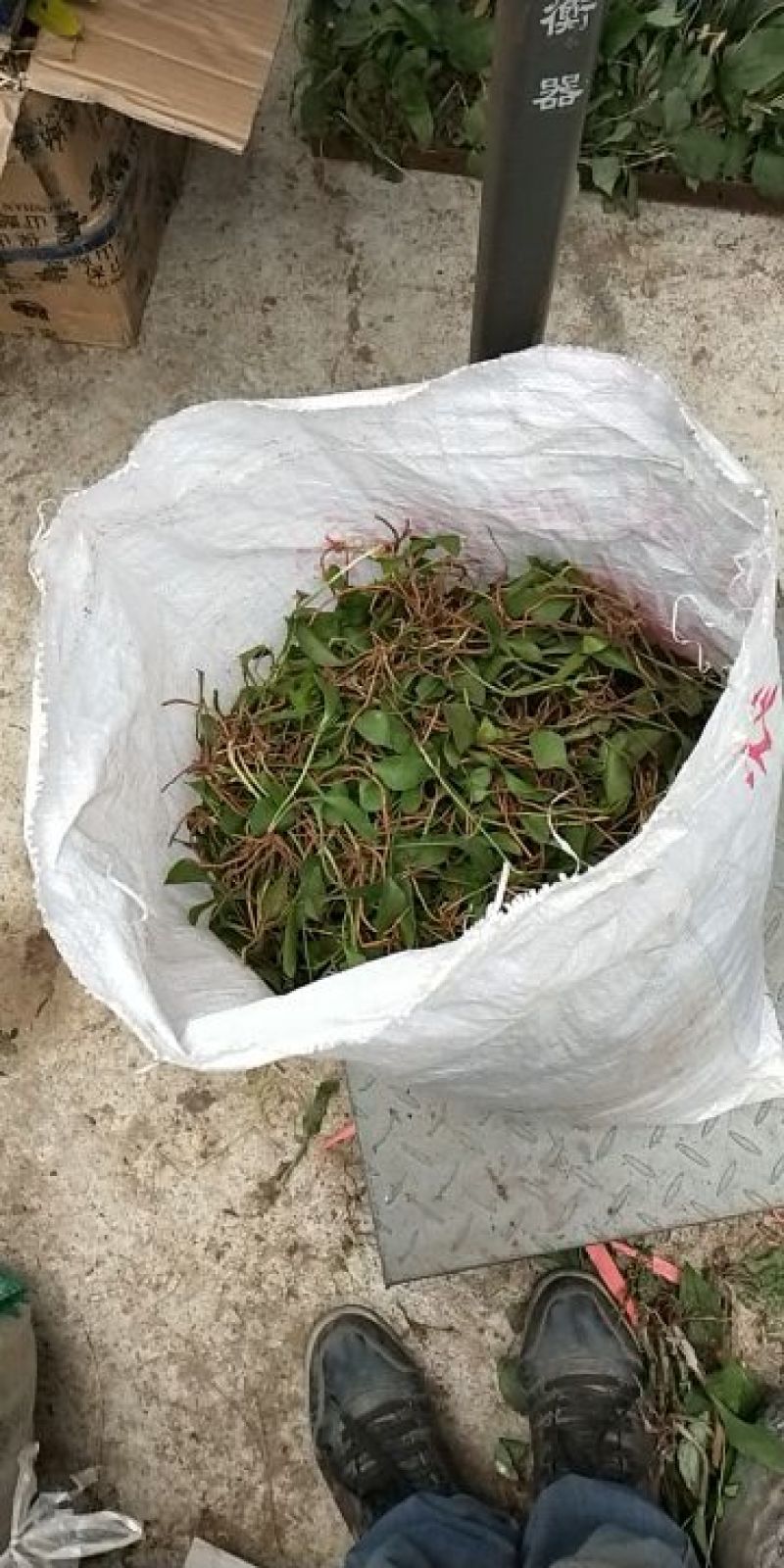 一支箭