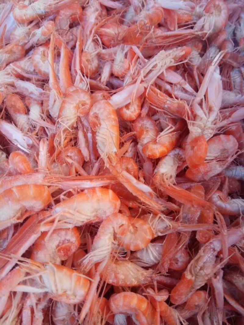 红虾食用冰鲜虾