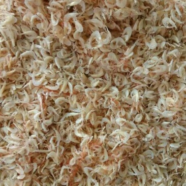 虾皮一级