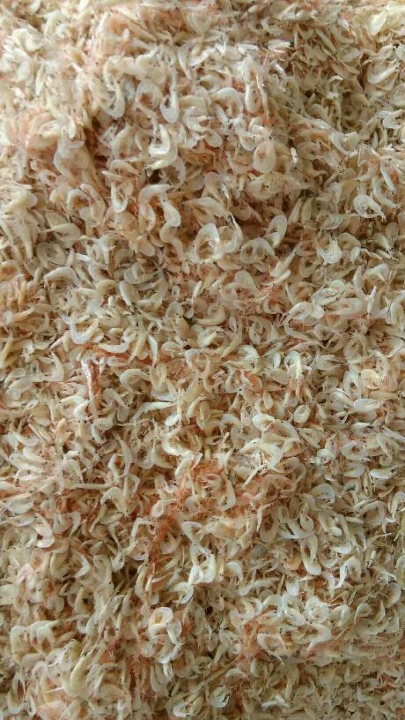 虾皮一级