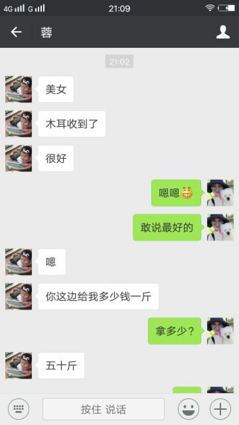 东北特产木段木耳长白山纯野生椴木精选特级小碗黑耳