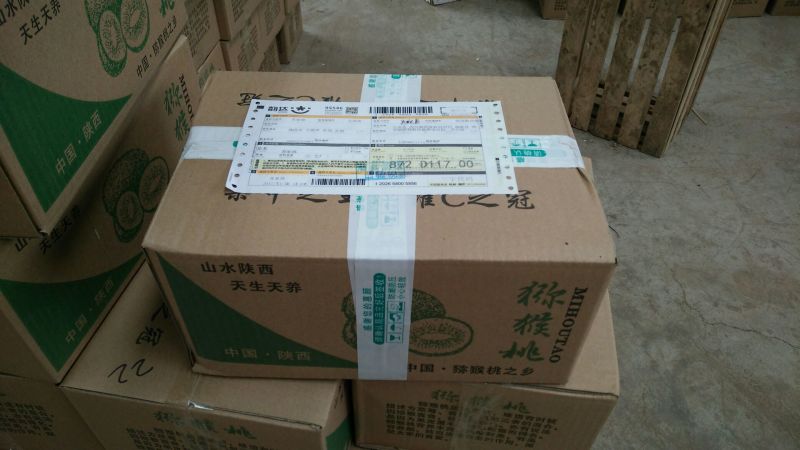绿心徐香猕猴桃一件也包邮现摘发货产地直发