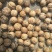 绵核桃25-30mm皮不厚