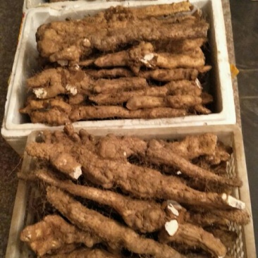 山药3~4厘米20~30厘米一级手捡