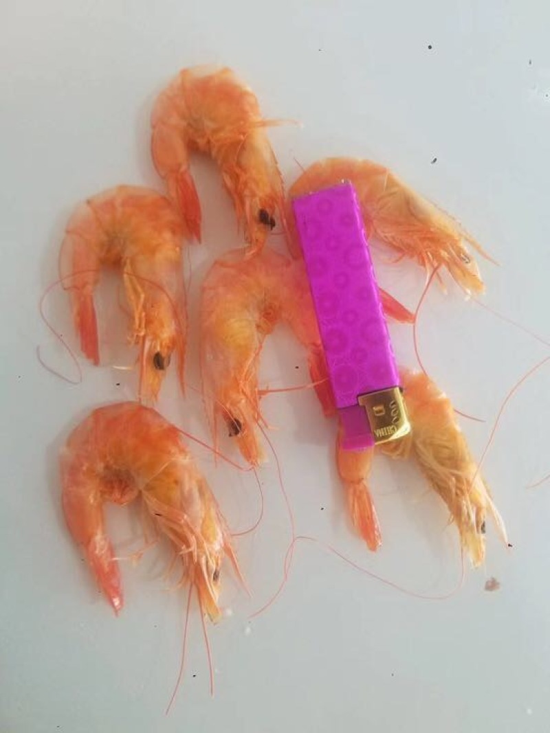 虾干一级
