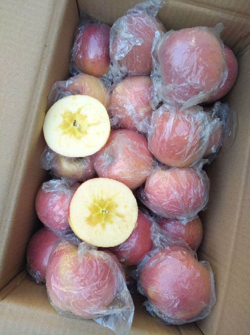 冰糖心膜袋红富士苹果脆甜多汁按需分拣打包设备齐全备货快运费低