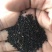艾草种子90