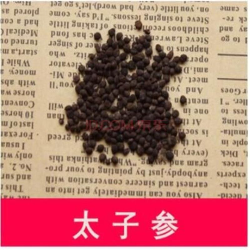 艾草种子90