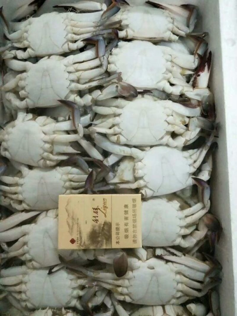 梭子蟹食用冻品