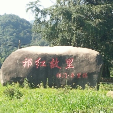 祁门红茶单牙，特级核心产区一手货源。