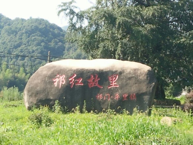 祁门红茶单牙，特级核心产区一手货源。