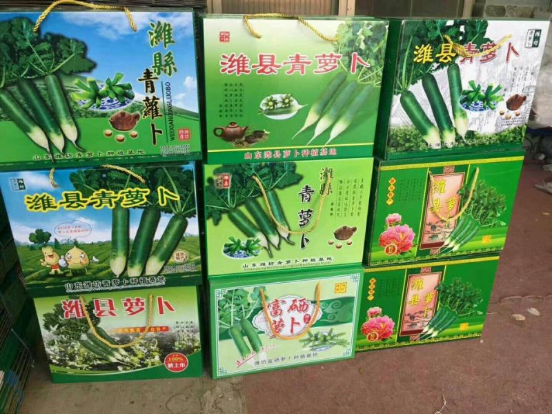 萝卜，青萝卜，山东青头萝卜热销中、货源充足大量供应