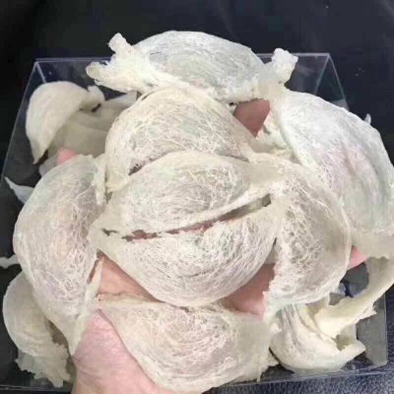 燕窝