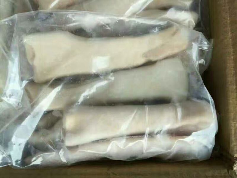 新鲜冷冻象拨蚌蚌头刺身冰镇料理食材