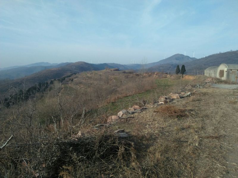 荒山转让10~30年101~1000亩