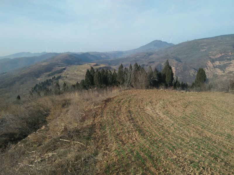 荒山转让10~30年101~1000亩