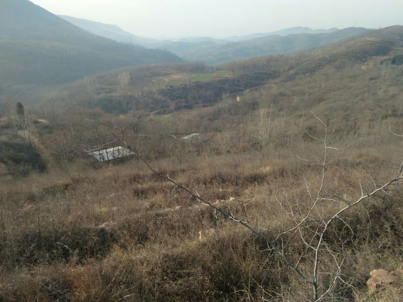 荒山转让10~30年101~1000亩