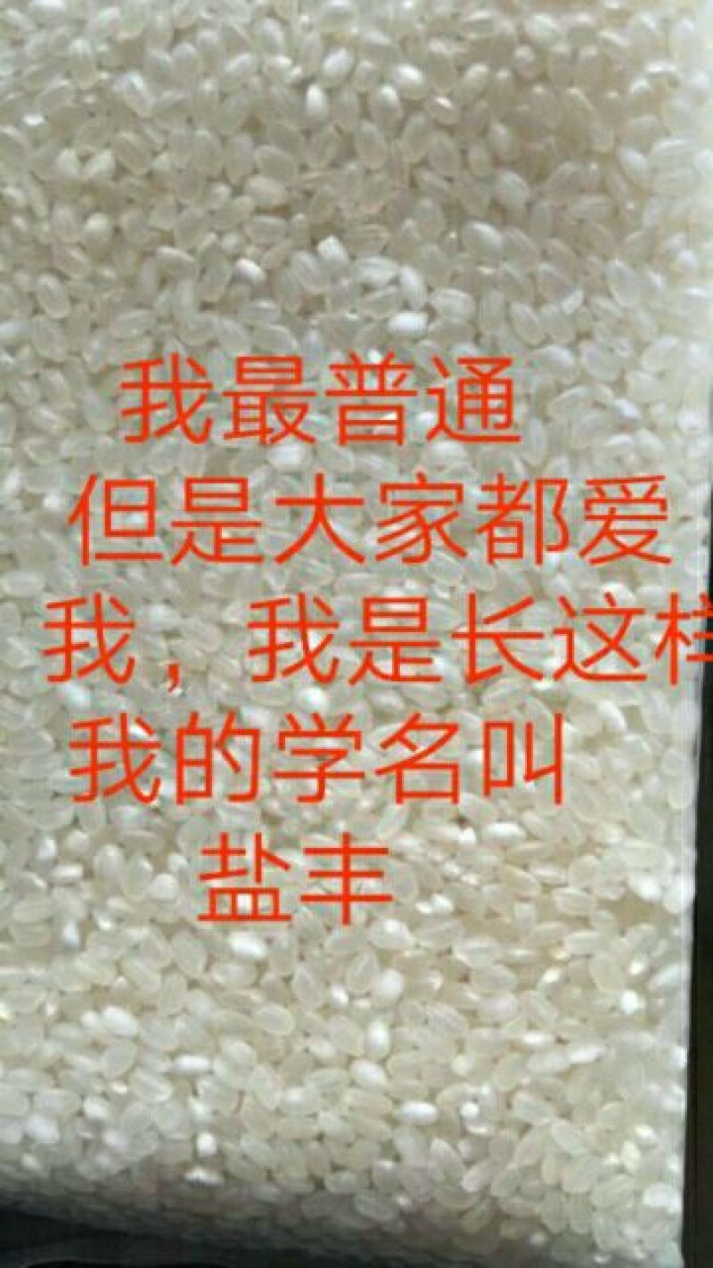 东北大米一级新米