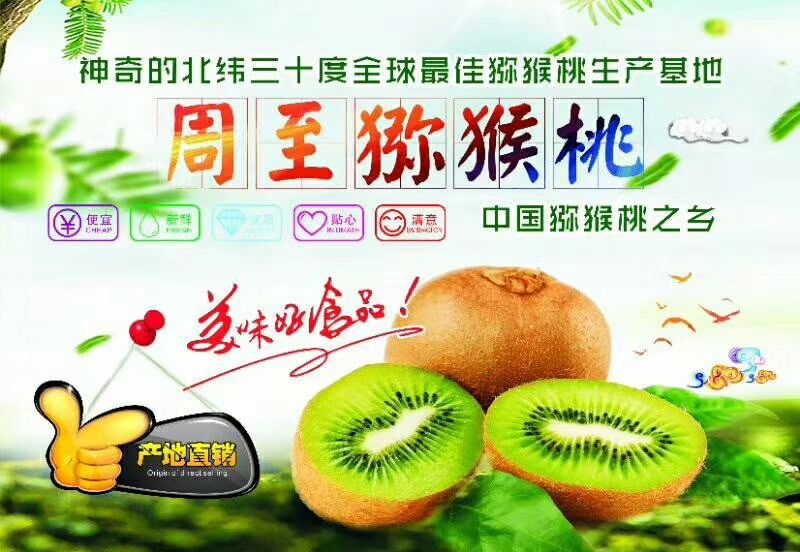 徐香猕猴桃90~110克