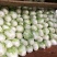 夏阳白菜青萝卜，花菜，胡萝卜