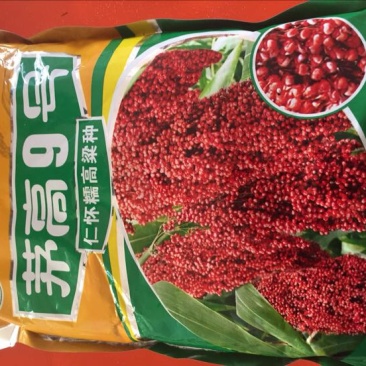 红缨子高粱糯性食用高粱