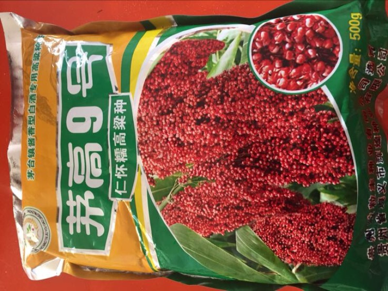 红缨子高粱糯性食用高粱