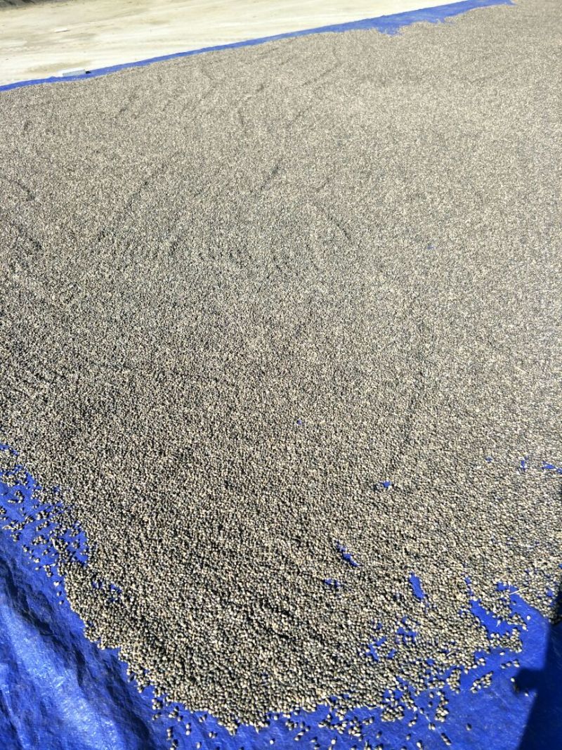 壳薏米包装
