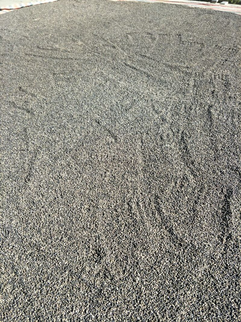 壳薏米包装