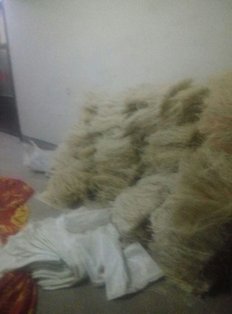 红薯粉条中粉