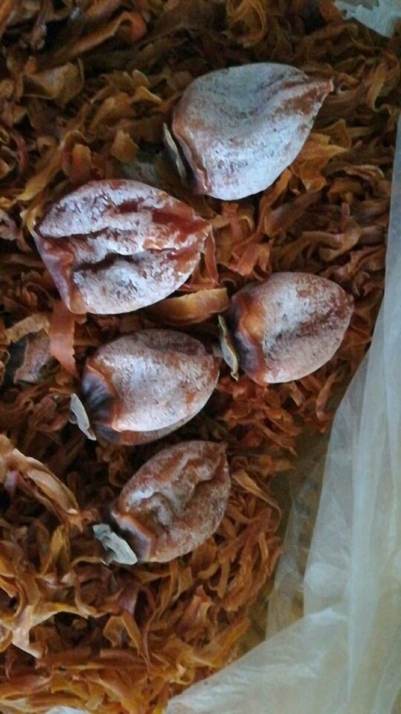 柿饼1~2两