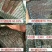 遮阳网23468针防老化