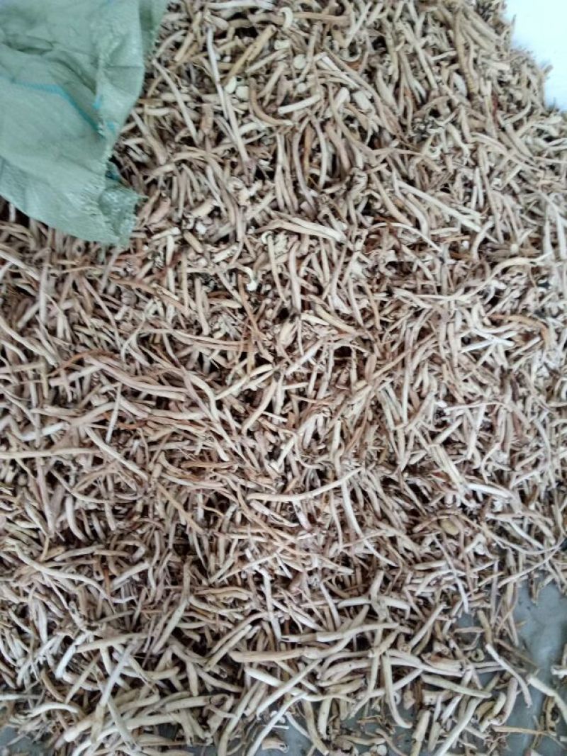 白芍中片18