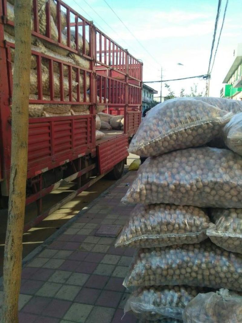 核桃质量高产地直销产地直销规格品种齐全高质量产地直销