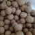 核桃质量高产地直销产地直销规格品种齐全高质量产地直销