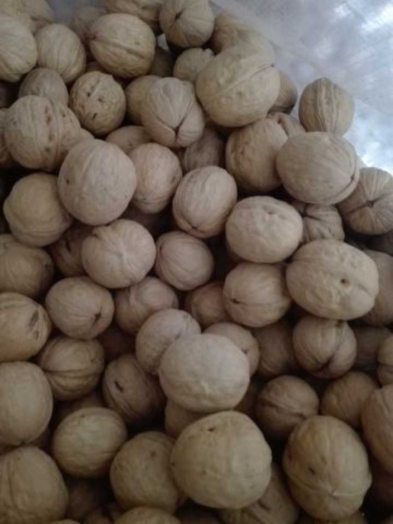 核桃质量高产地直销产地直销规格品种齐全高质量产地直销